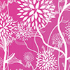 Aster Pink (015)